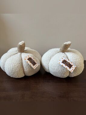 Hobby lobby Plush Sherpa Cream Decorative Pumpkin Set  of 2 Cozy Fall Accent